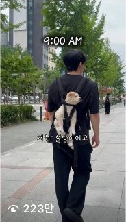 설탕이 첫 릴스 확대 캡처. 조회수 223만