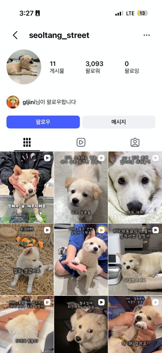 설탕이 인스타그램 프로필